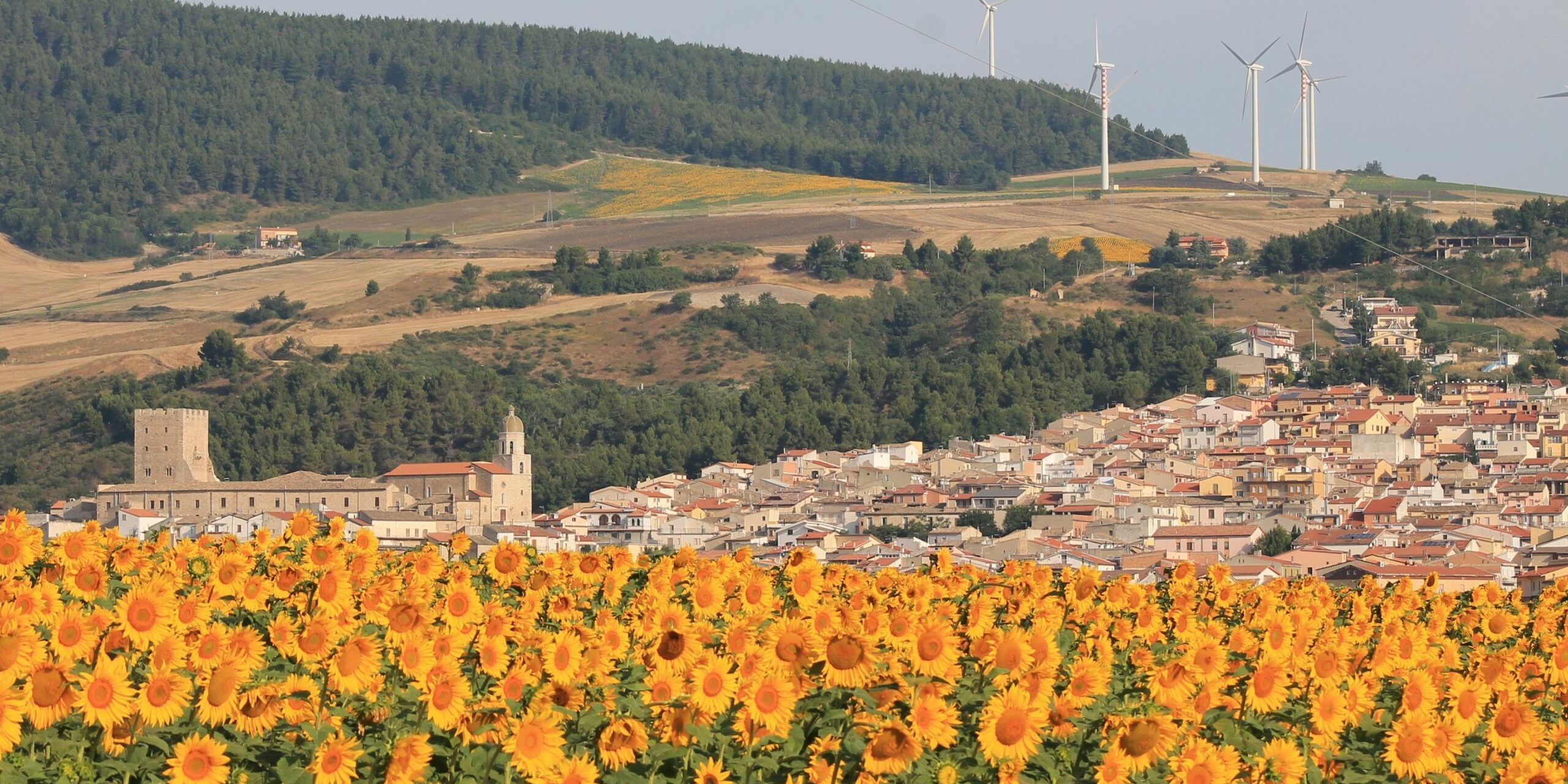 pietra-montecorvino